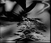 blackandwhite.jpg (2553 bytes)