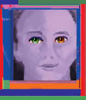 prim.jpg (42423 bytes)