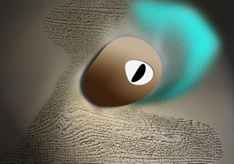 ojo.jpg (25025 bytes)